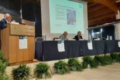 Convegno_pavone